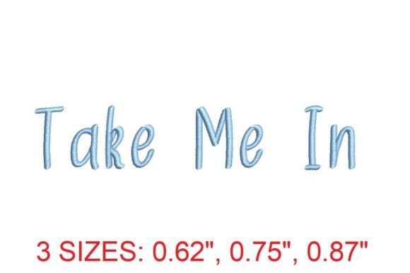 Take Me In Embroidery Font: A Designer Review